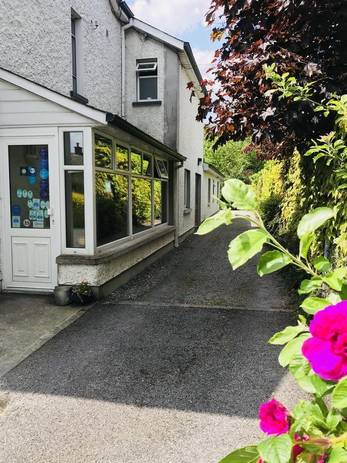 San Antonio Guesthouse Kilkenny Esterno foto